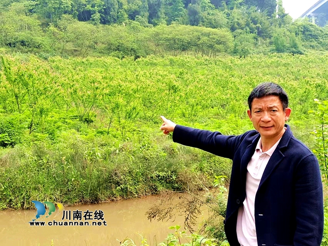纳溪旅游风景区再添新成员！古龙大瀑布景区＂五一＂开门迎客(图4)
