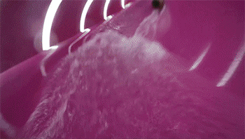 微信图片_20220620183949.gif