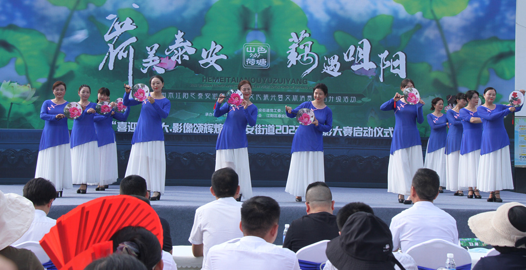 喜迎二十大 影像颂辉煌一一泰安街道举行2022摄影大赛启动仪式(图11)