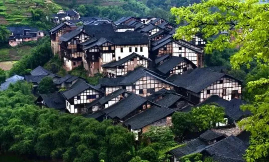 微信图片_20220713151209.jpg