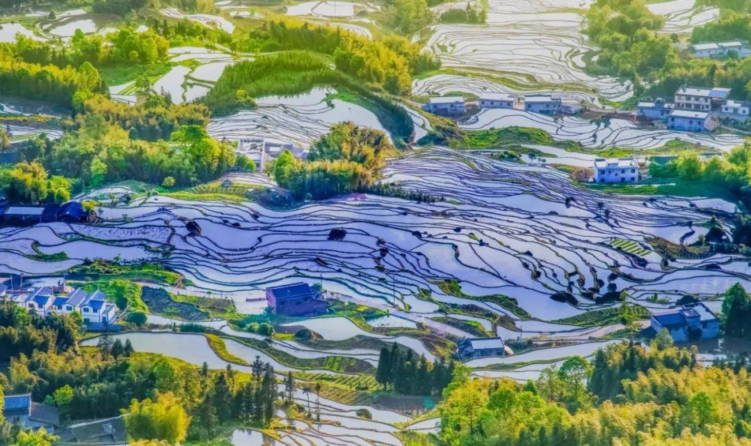 微信图片_20220713151408.jpg