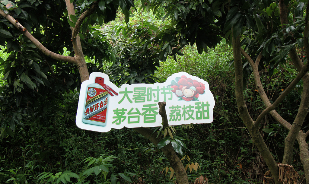 IMG_8037_副本_副本.jpg