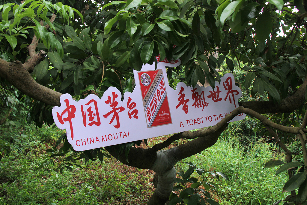 IMG_8052_副本_副本.jpg