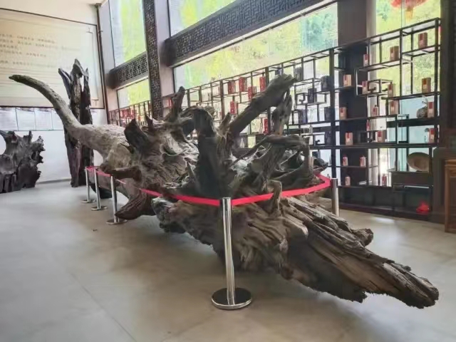 微信图片_20220729183626.jpg