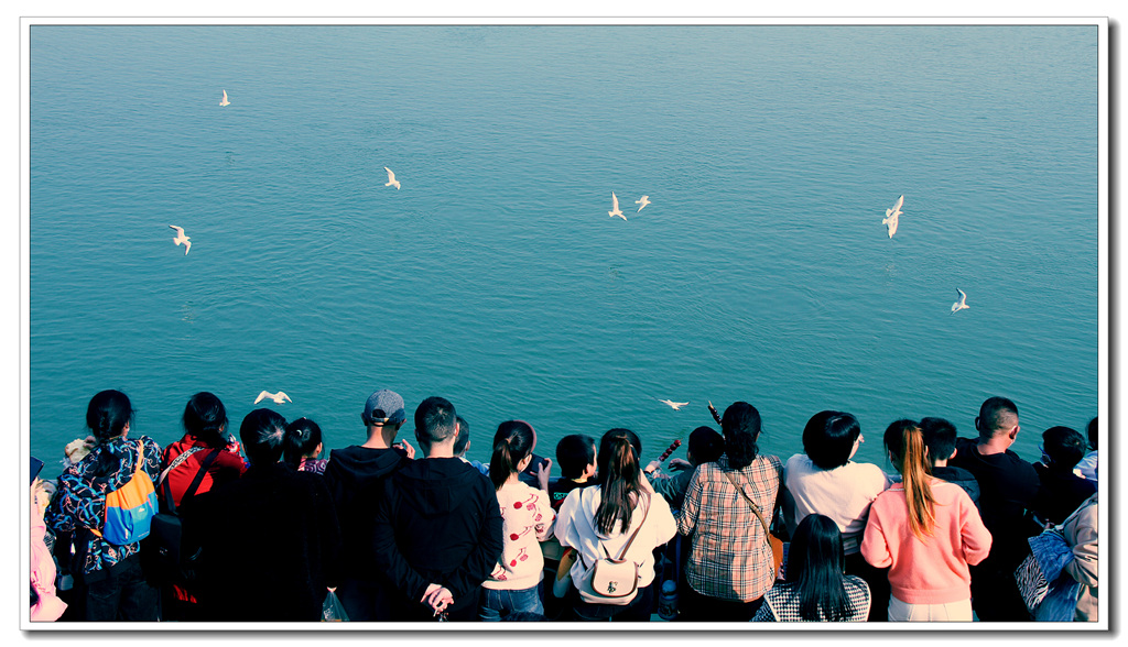 IMG_9238_副本_副本.jpg