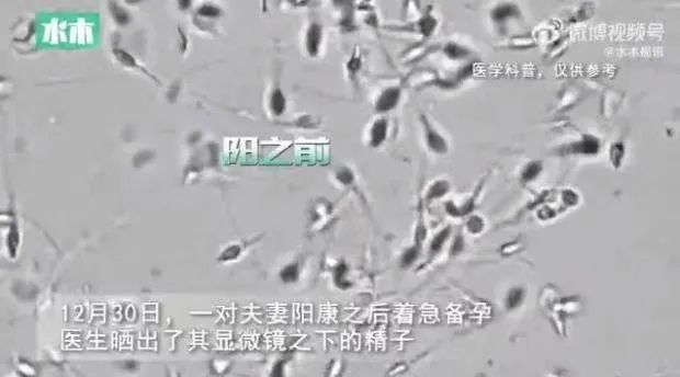 微信图片_20230106150839.jpg