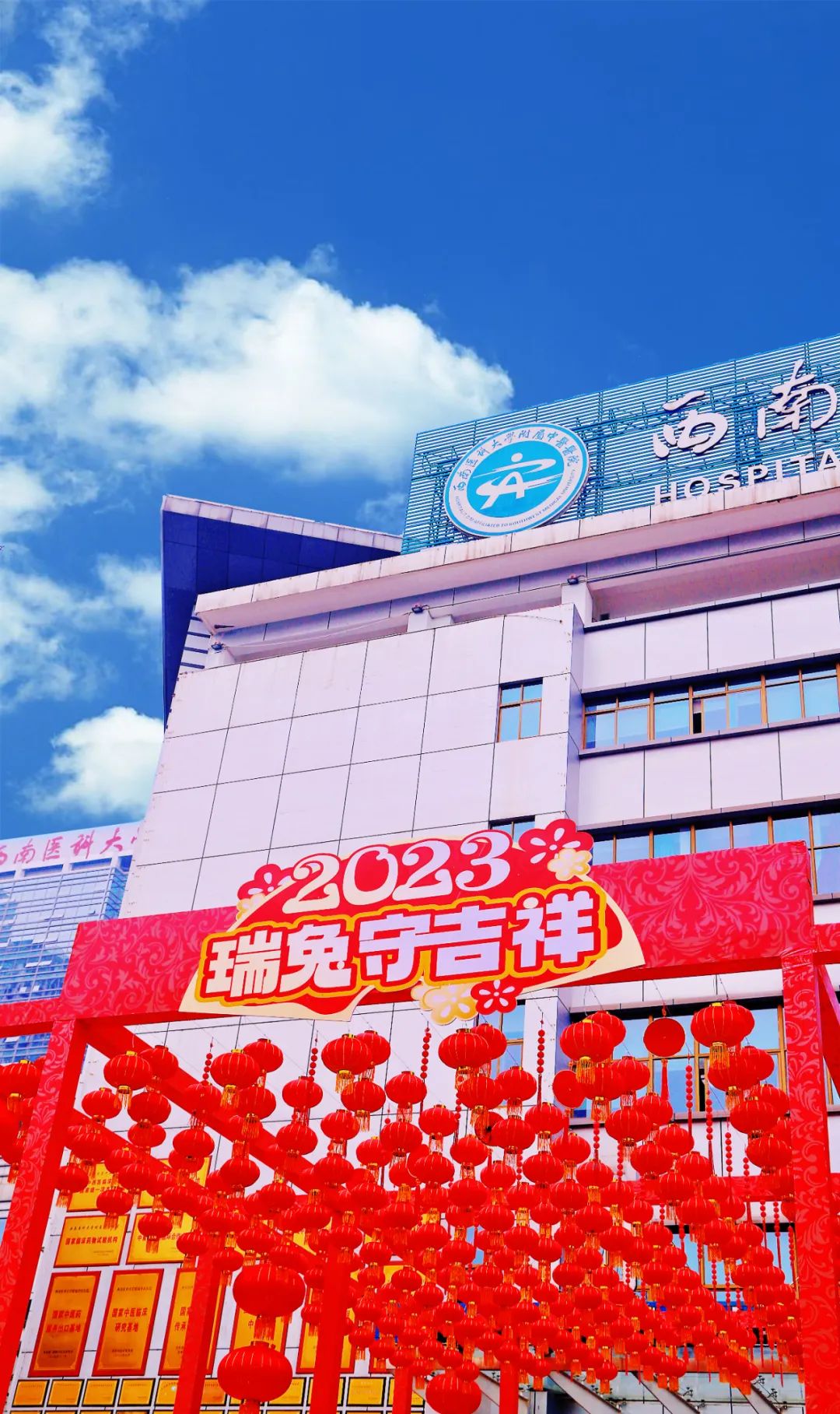 【围观】西南医大中医院新年氛围一键拉满啦~
