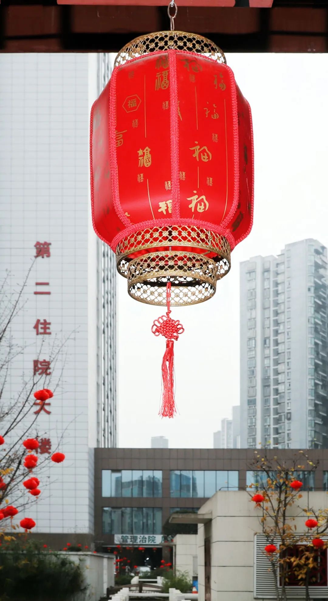 微信图片_20230115121327.jpg