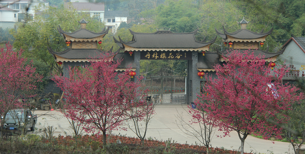 IMG_1743_副本_副本.jpg