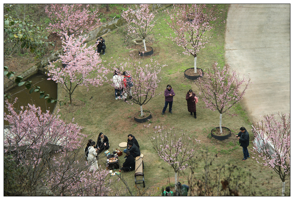 IMG_1798_副本_副本.jpg