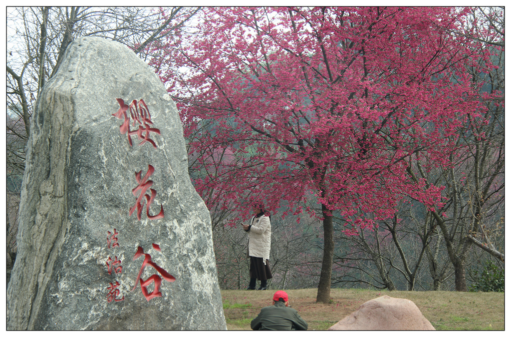 IMG_1869_副本_副本.jpg