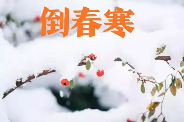 微信图片_20230224105936.jpg