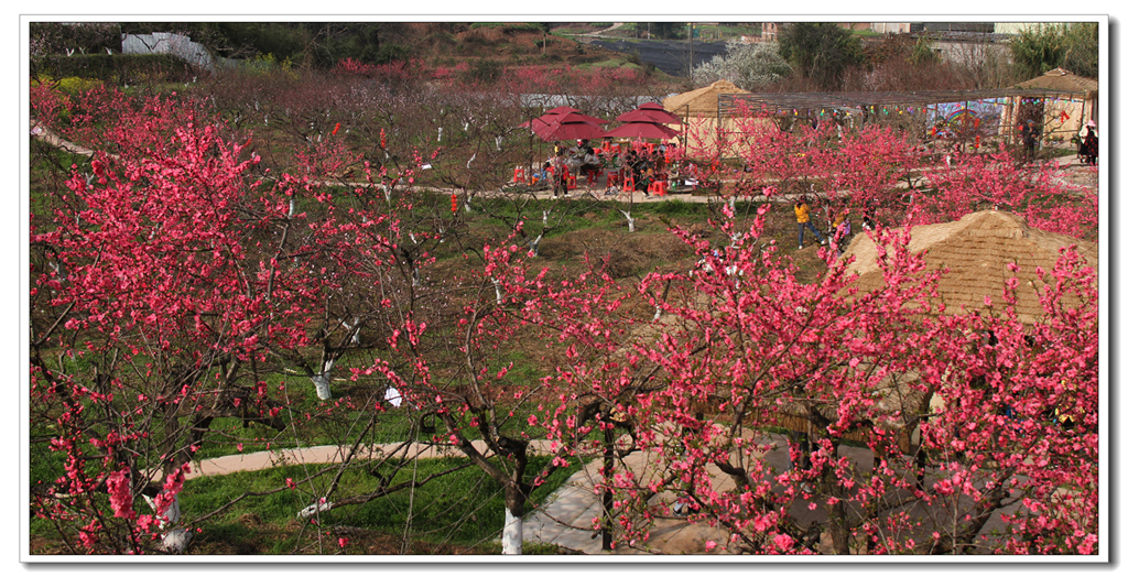 IMG_0571_副本_副本.jpg