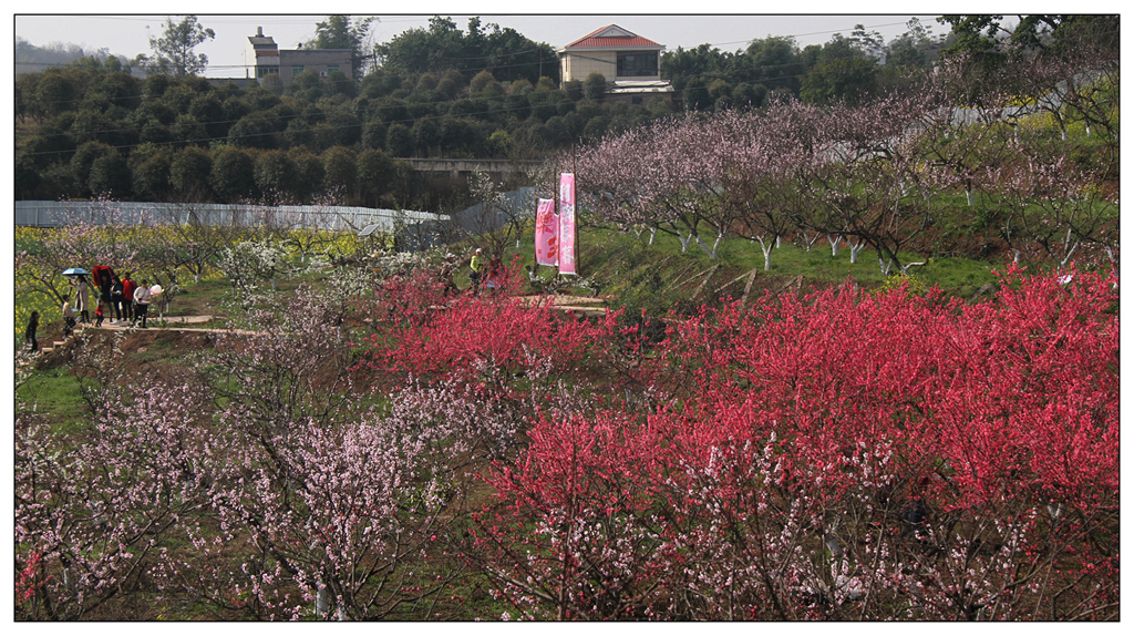 IMG_0572_副本_副本.jpg