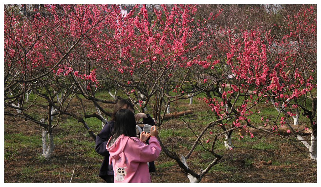 IMG_0610_副本_副本.jpg