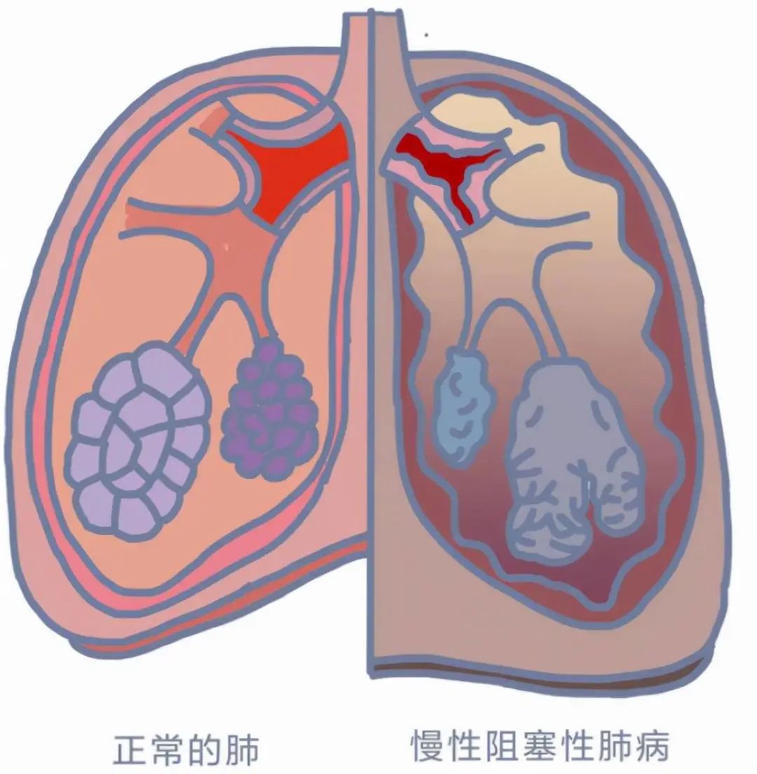 微信图片_20230326192133.jpg