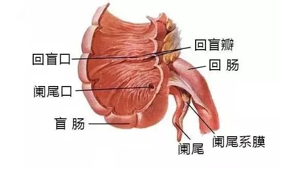 微信图片_20230326185142.jpg