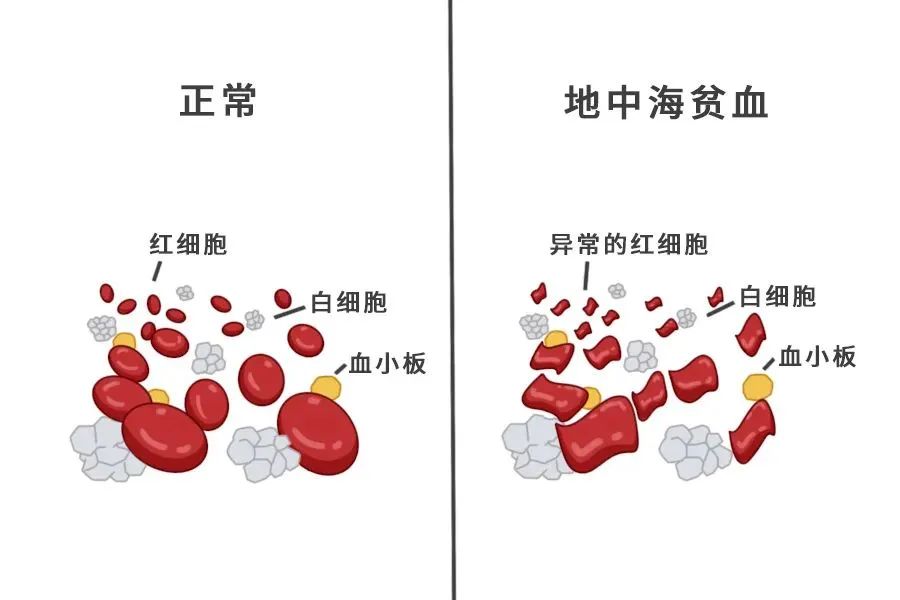 微信图片_20230508205049.jpg