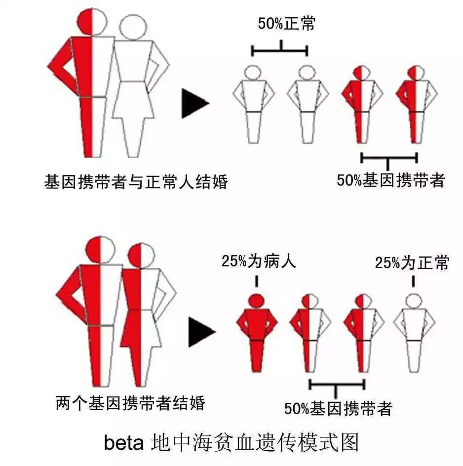 微信图片_20230508205245.jpg
