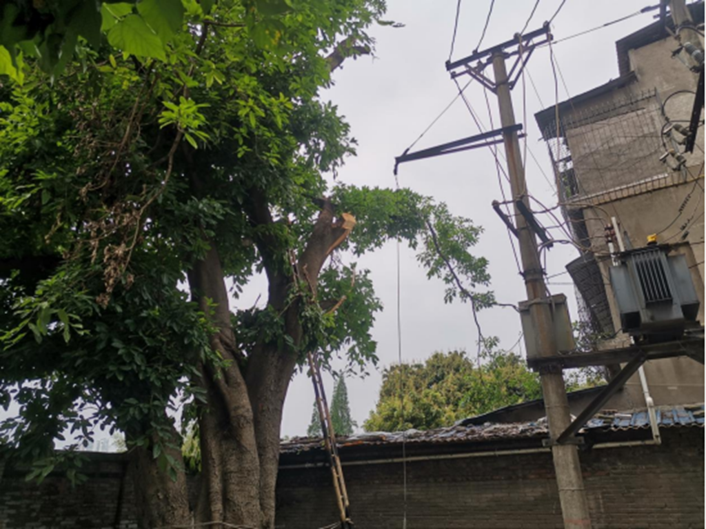 微信图片_20230519162304_副本.png