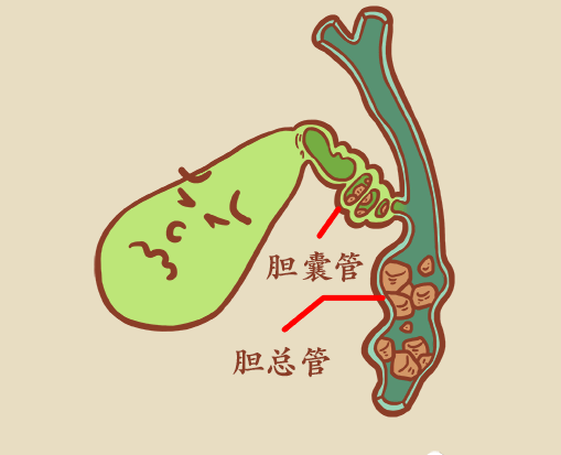 微信图片_20230721165613.png