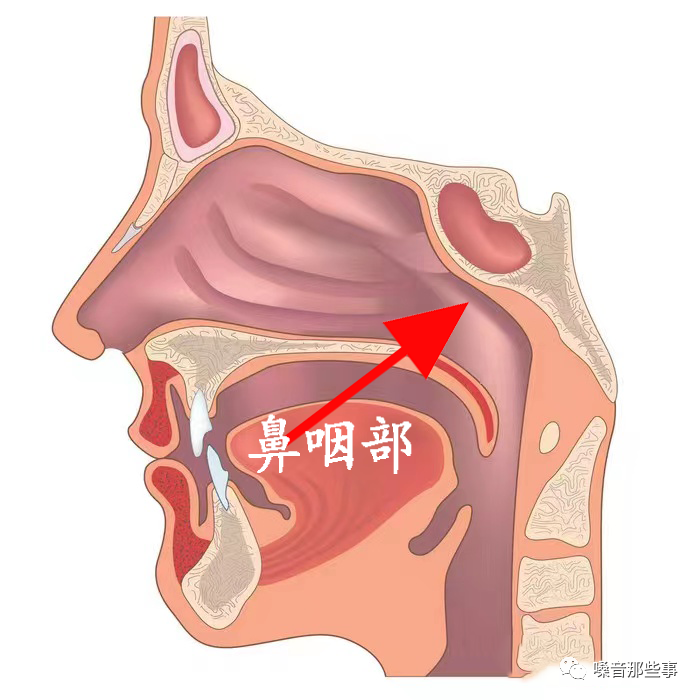 微信图片_20230821191842.png