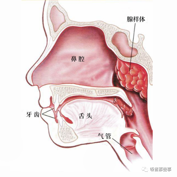 微信图片_20230821191753.png