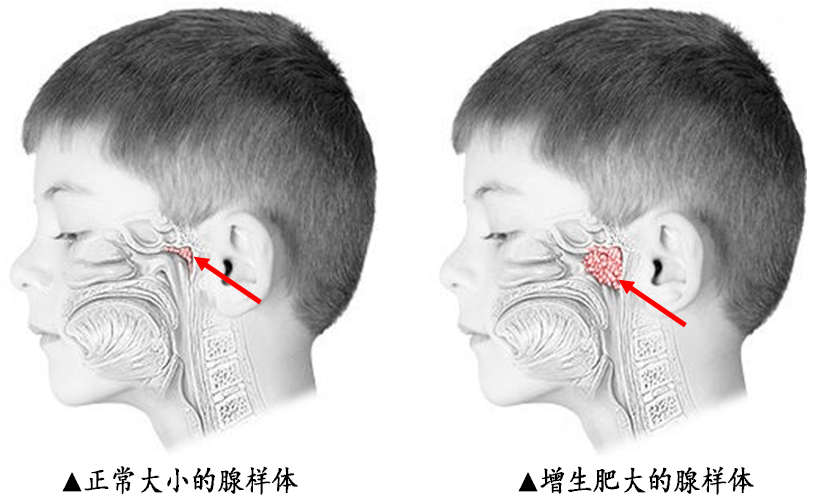 微信图片_20230821192056.png