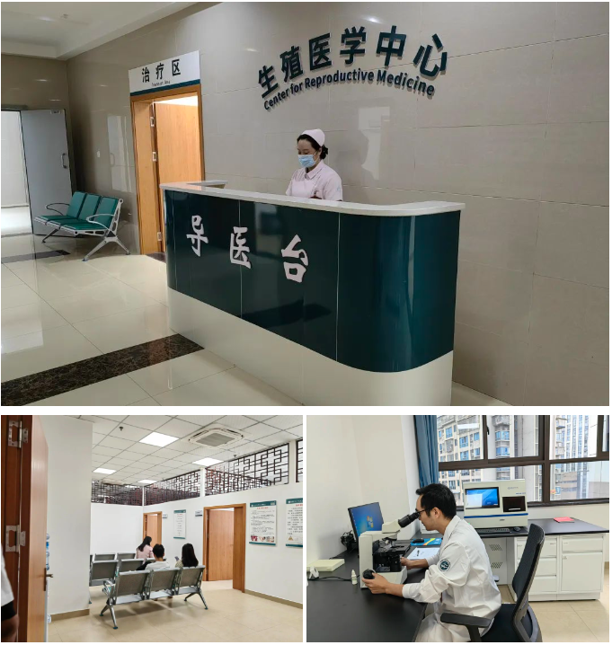 一次成功！她们怀孕咋这么容易？
