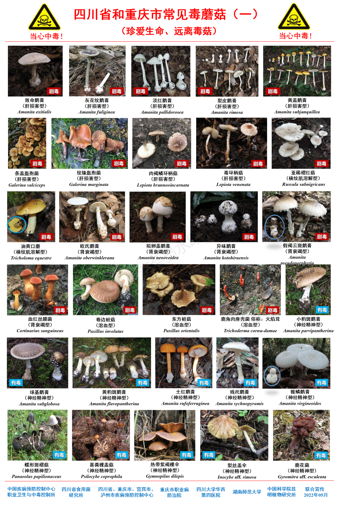 微信图片_20230913203412.png