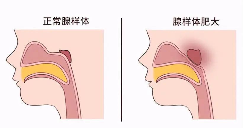 微信图片_20231219184049.jpg