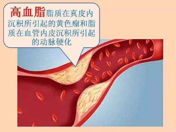 微信图片_20240115191510.png