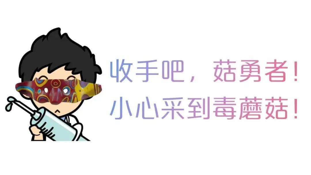 泸州王姐上山采野蘑菇，一家四口中毒！